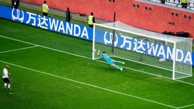 محمد الشناوي