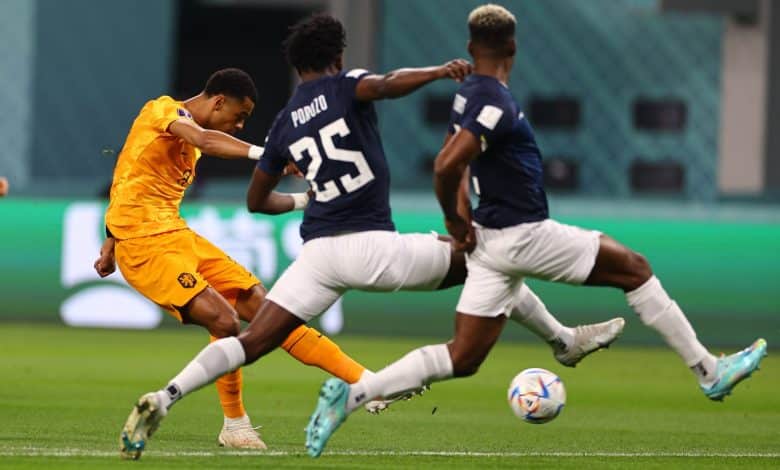 هولندا والإكوادور