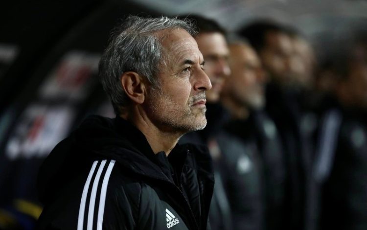 مارسيل كولر - الأهلي